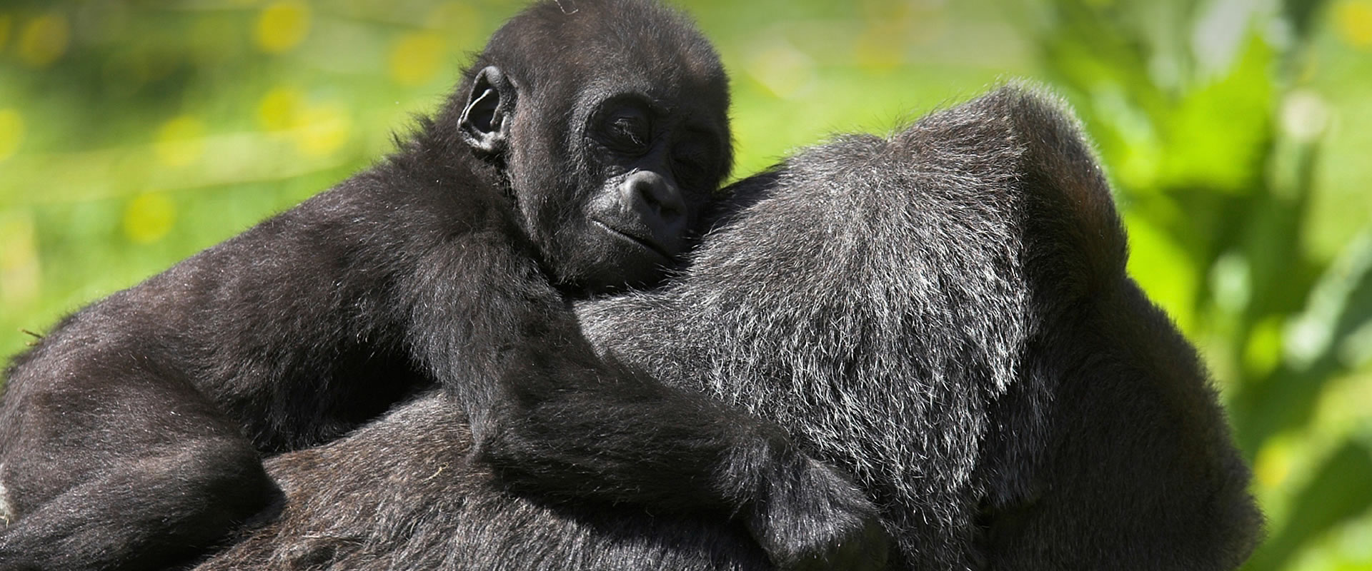 top destinations uganda top destinations uganda