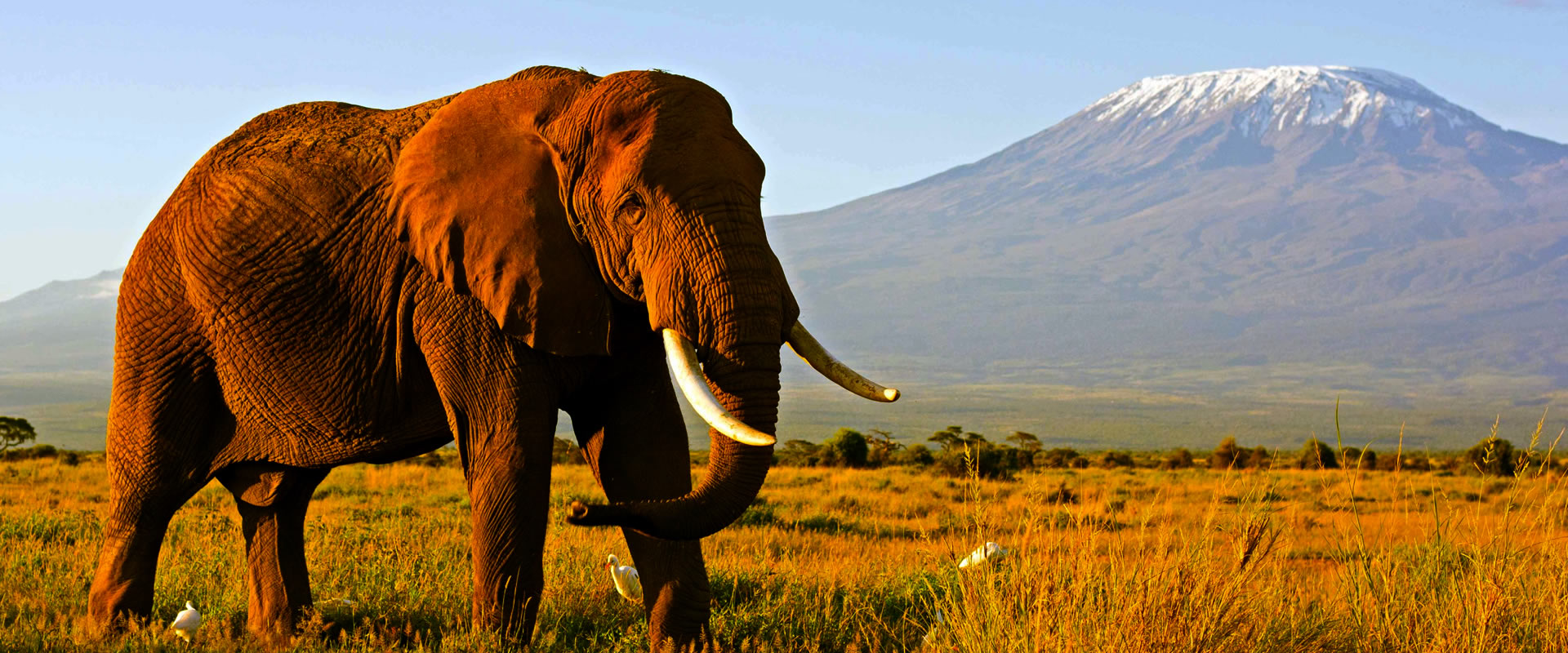 6 days kilimanjaro safari